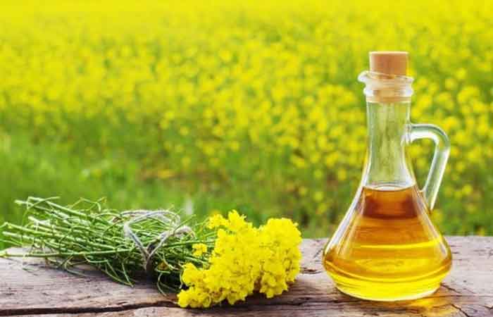 طرح توجیهی ایجاد واحد صنعتی تولید روغن از دانه های کلزا